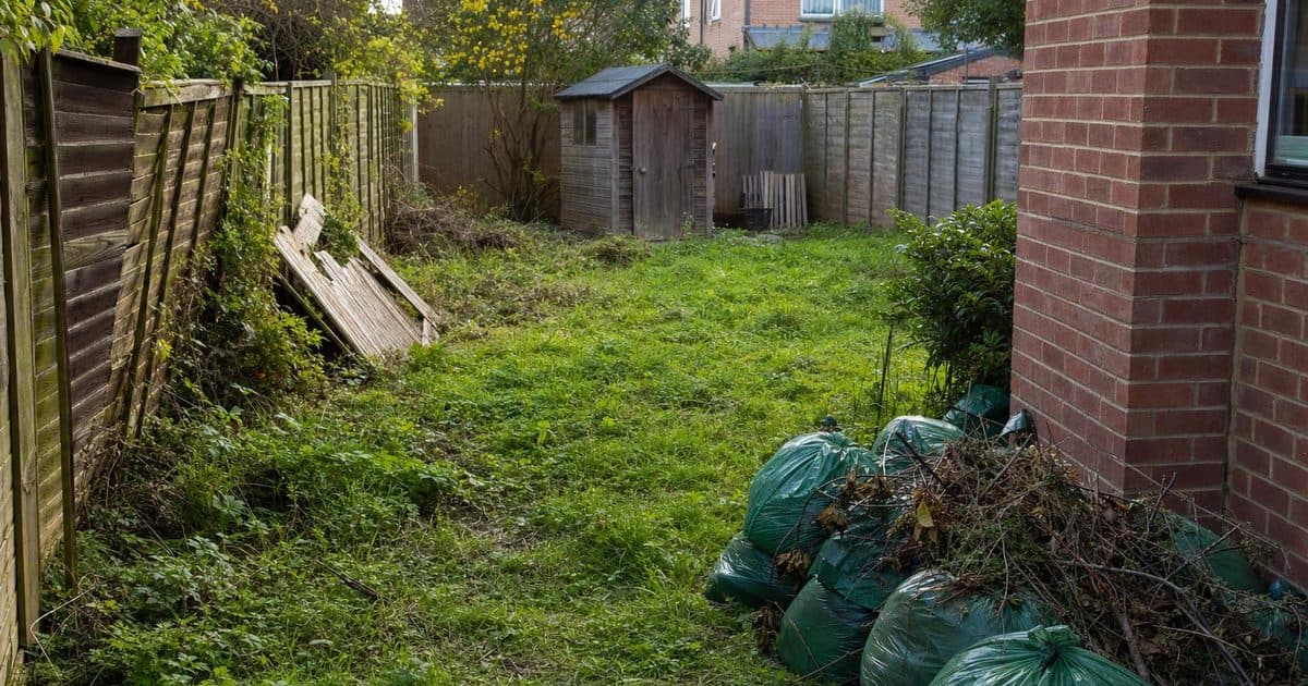 Garden Clearance in Gosport: What to Check Before Booking