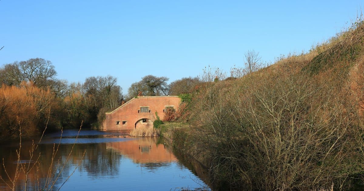 Window And Door Removal in Brockhurst